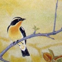 农村结婚给长辈磕头顺序 男士在前女在后