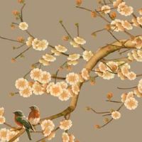 2023年兔年不宜生子的属相父母 牛鼠龙23年生子不适