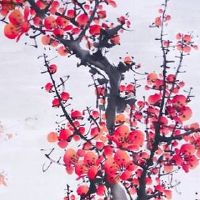 手机号码天医象征什么 最新转运旺财的手机号