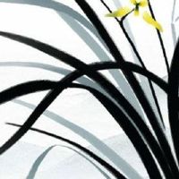 2023年红鸾星动的八字 红鸾星动的征兆