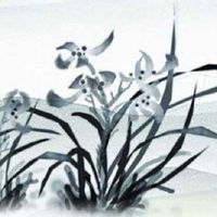 两个人缘分很深的八字 八字天干地支相合良好组合