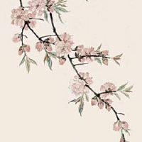 1979年羊2022年运势及运程 整体发展稳定事业有机遇