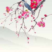 车牌最旺的数字和字母是什么 数字8增旺财运字母L提福气