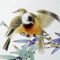 结婚拜堂磕头讲究 娘家婆家各一次