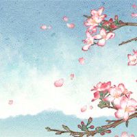 伤官伤尽女命旺夫 命格转换旺夫贵命