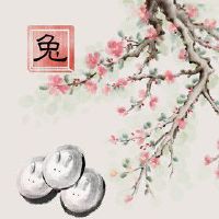 2011属兔人一生财运 头脑聪明财运好