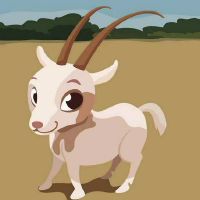 属羊人2022年下半年运势及运程如何