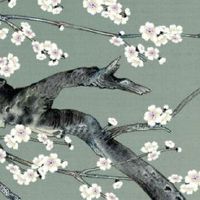 2022年10月21日出生的男宝宝取名 男孩土旺的起名宜用字