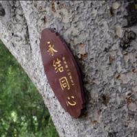 运用风水摆放改进你的桃花运