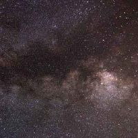 生肖鼠的人身上最令人骄傲的优点有哪些