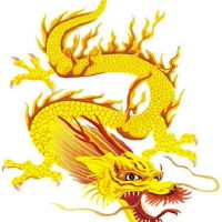 1988年属龙的人一生的三大坎是什么