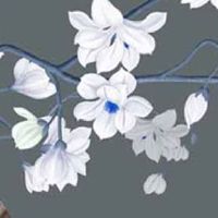 2022年10月31日出生优雅女孩名字免费 女孩五行齐全的最佳寓意名字