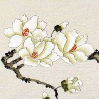 天医磁场的号码数字有哪些 财运亨通顺遂的手机数组