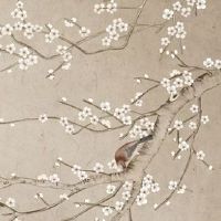 夫妻俩有一个是二婚命 有二婚命的前世因果