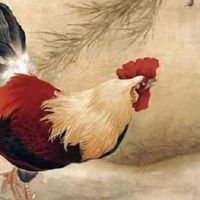 生肖属鸡2022年9月健康运势如何