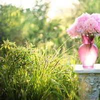 84年出生的鼠女贵人是什么生肖