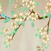 二婚比头婚幸福的八字 官杀爲忌神然后运有制