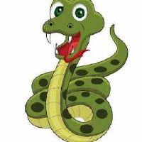 1989年出生属蛇人生肖贵人是谁 是什么生肖属相