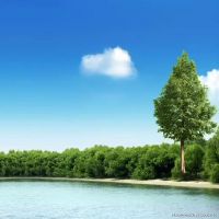 生肖鼠七月的整体命运 需要注意的事情