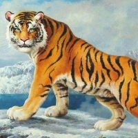 生肖属虎出生于腊月的人性格和命运如何