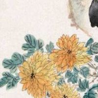 手机尾号天医加天医数字能量 最新吉利助财的手机靓号