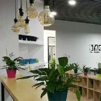 电子公司取什么名好