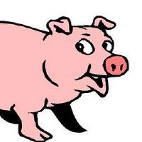 属猪人2022年8月学习运势怎么样 如何提高学习方式