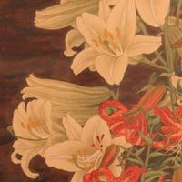 天医数字能量磁场吉凶解析 招财纳运的手机数组解读