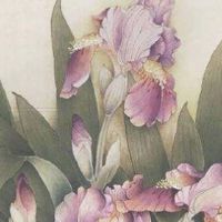 天医加天医数字号码磁场 聚财旺运的手机尾号