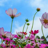 朱氏男孩名字推荐 好听帅气男宝宝好名字