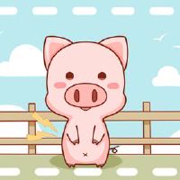 2022年9月生肖猪犯烂桃花如何转运 严于律己步入正轨
