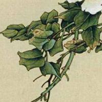 伏位在天医前磁场吉凶分析 美好助运的手机号码宝典