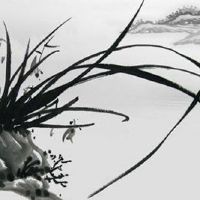 1967年属羊五行属什么 岁数大了有一个事业小高峰