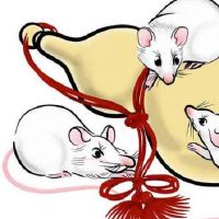 生肖鼠一生中最重要的四大贵人生肖都有谁