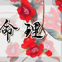 2022年8月16日农历七月十九出生的男孩五行缺失查询