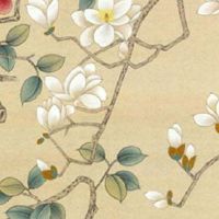 2022年11月6日出生最佳女宝宝名字鉴赏 适合缺火缺土的最佳寓意好名