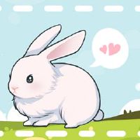 属兔人2022年财运如何 正财增加偏财欠缺可把握财位