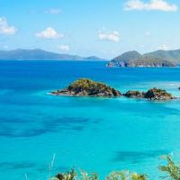 84年的生肖鼠22年运势的走向