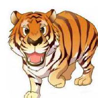 生肖属虎2022年9月正财运和偏财运什么更旺