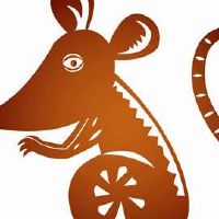 生肖鼠的虎年感情方面要注意什么