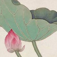 易经解读数字能量 磁场吉祥富贵的手机号码