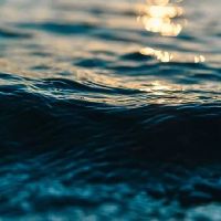 水瓶座的生肖鼠在2023年会有什么样的运势