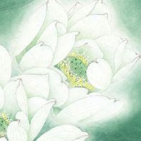 2022年11月4日出生男宝宝怎么取好名字 适合五行缺土的男孩名字