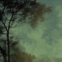 八字劫财坐劫财的桃花 异性缘好易犯桃花劫