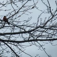 虎年新生儿取名字