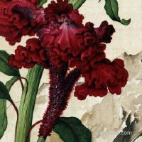 三八节是父亲节吗？有什么不同？