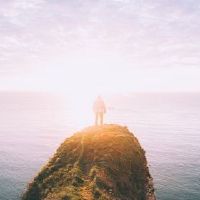 属虎为什么要避开属猴