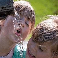 优雅高贵不失自信的女孩名字