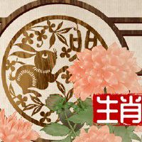 属兔的在2022年的财运 需要提运稳固金钱运