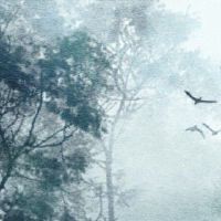 八字有桃花星好吗 八字桃花星有好有坏